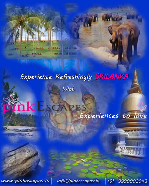click here for PINK ESCAPES Sri Lanka