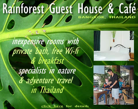 click here for RAINFOREST GUEST HOUSE & CAFE