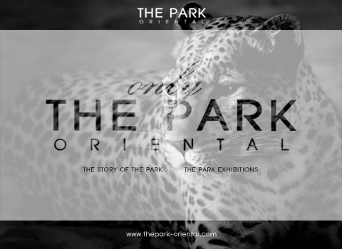 click here for THE PARK